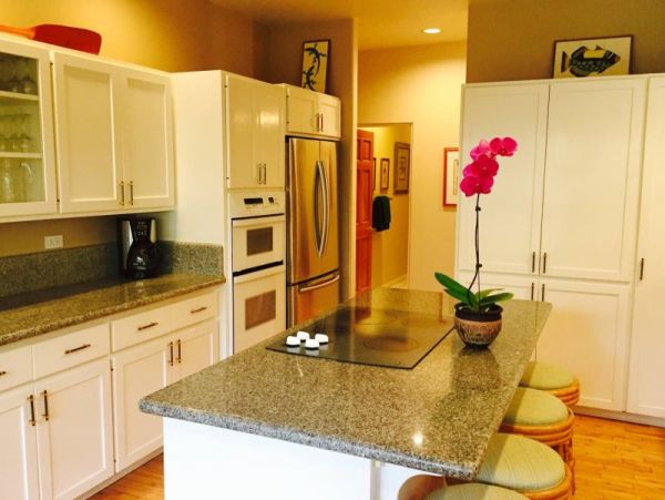 Kohala Coast Home 974073