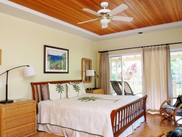 Kohala Coast Home 974073
