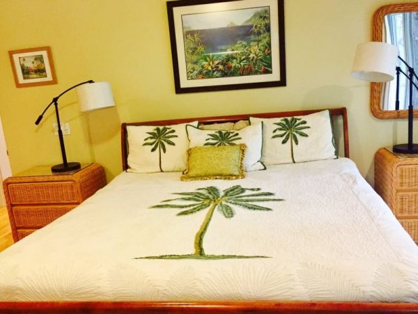 Kohala Coast Home 974073