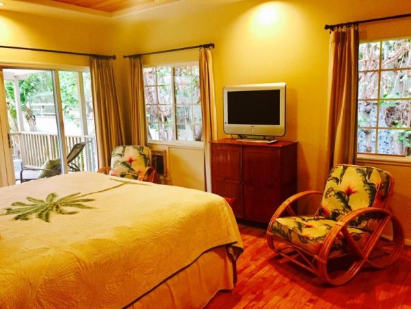 Kohala Coast Home 974073