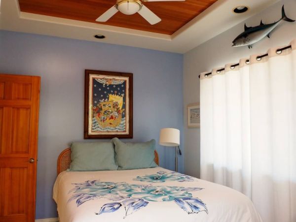 Kohala Coast Home 974073