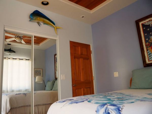 Kohala Coast Home 974073