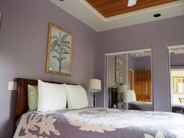 Kohala Coast Home 974073