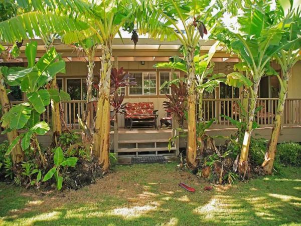 Kohala Coast Home 974073