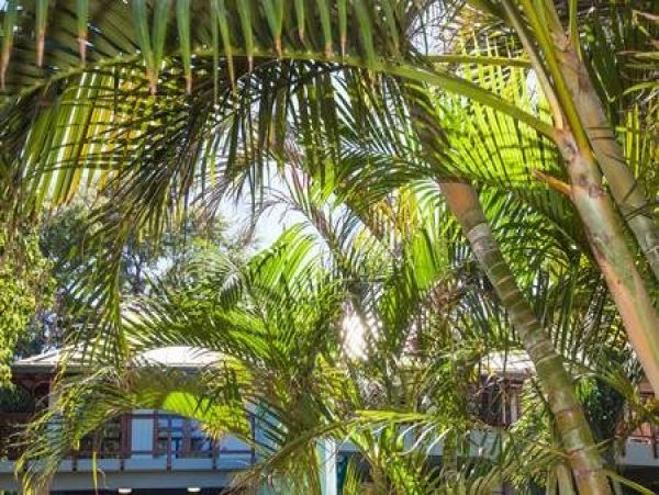 Kohala Coast Home 974076