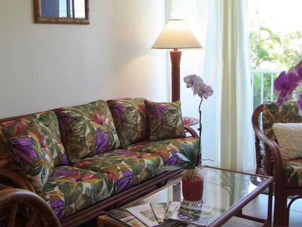 Kohala Coast Condo 974079
