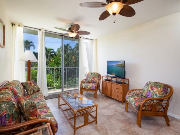 Kohala Coast Condo 974079