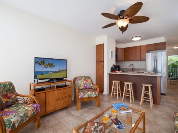 Kohala Coast Condo 974079