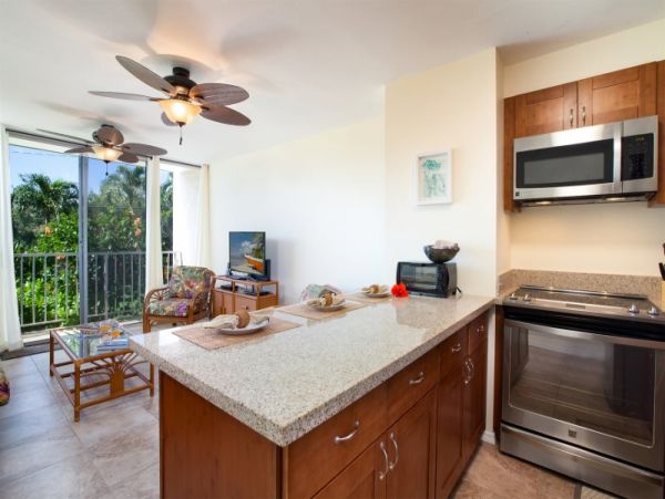 Kohala Coast Condo 974079