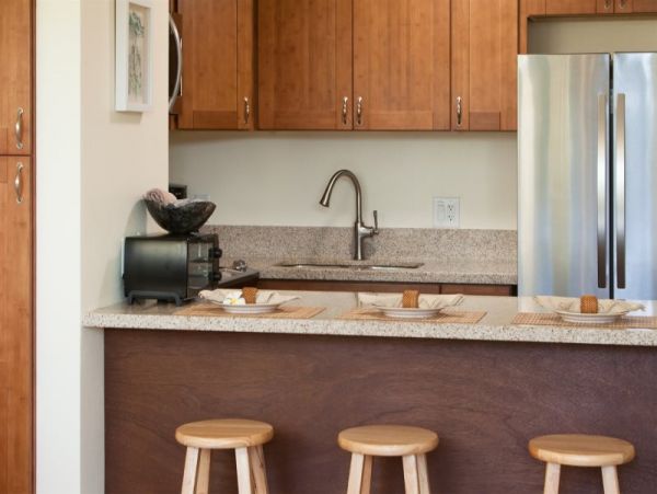 Kohala Coast Condo 974079