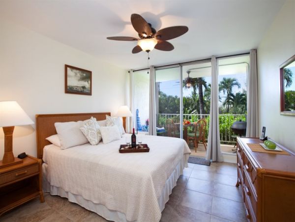 Kohala Coast Condo 974079