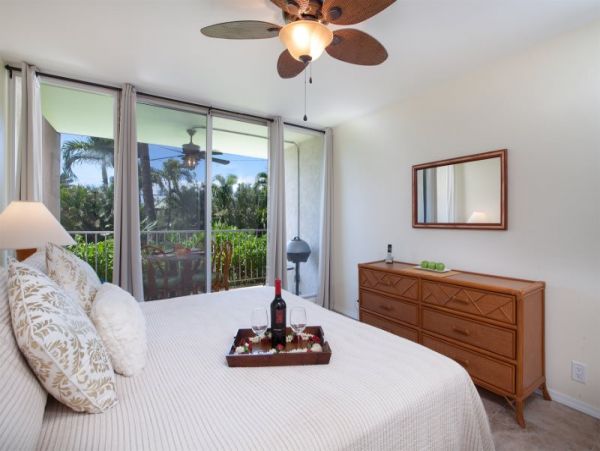 Kohala Coast Condo 974079