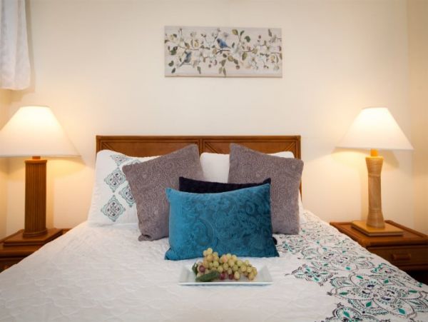 Kohala Coast Condo 974079