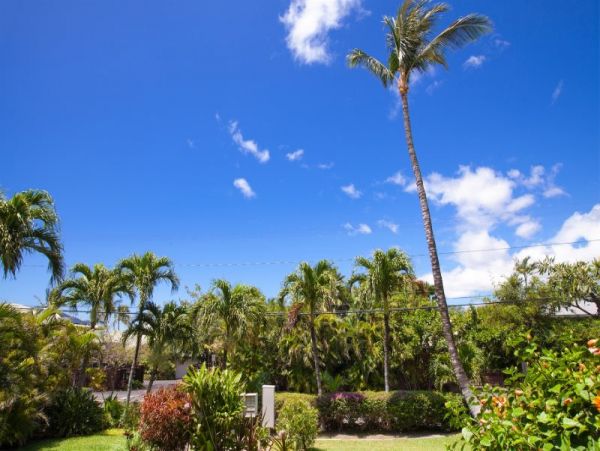 Kohala Coast Condo 974079