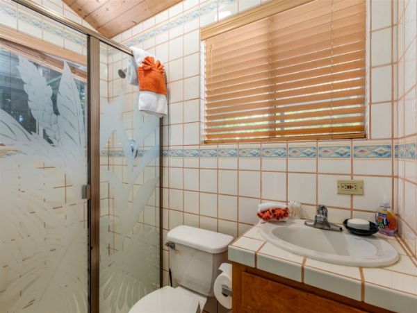 Kohala Coast Home 974080