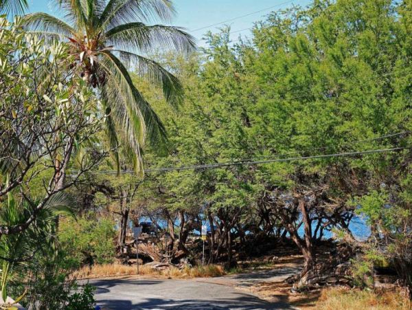Kohala Coast Home 974080