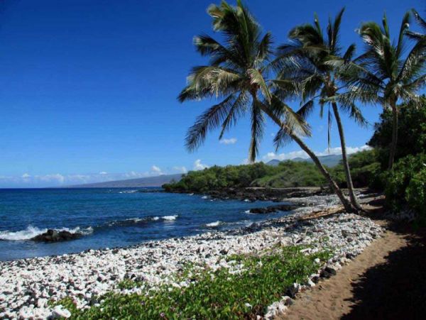 Kohala Coast Home 974080