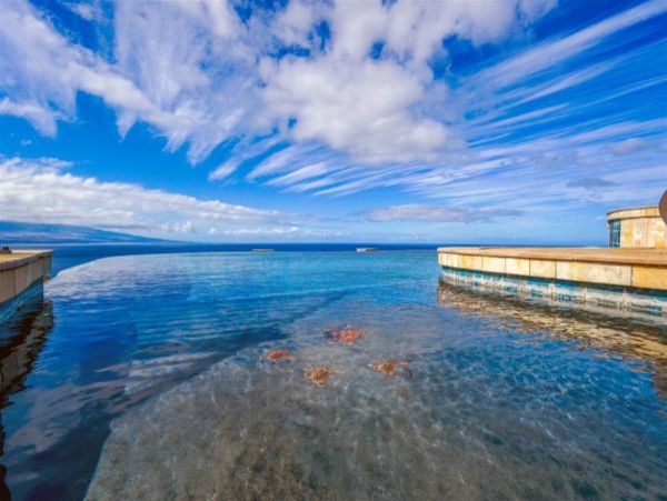 Luxurious Waimea Vacation Rental with Ocean Views
