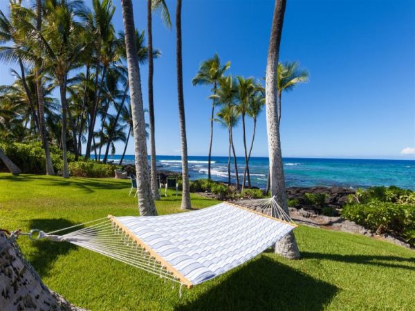 Kohala Coast Home 974087