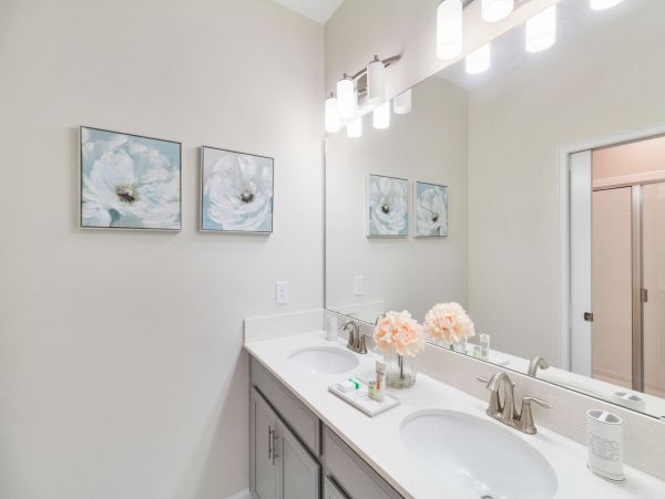 Orlando Home 974091