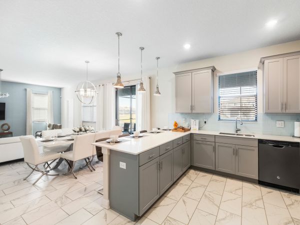 Orlando Home 974091