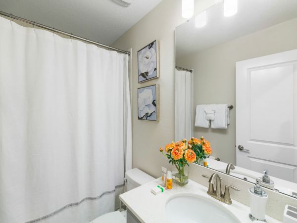 Orlando Home 974091
