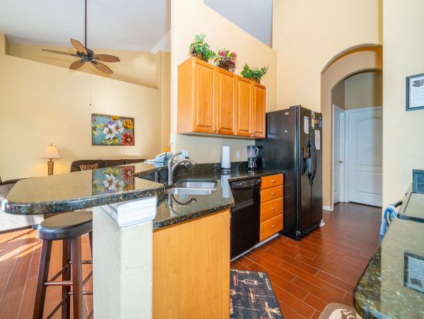 Orlando Home 974092