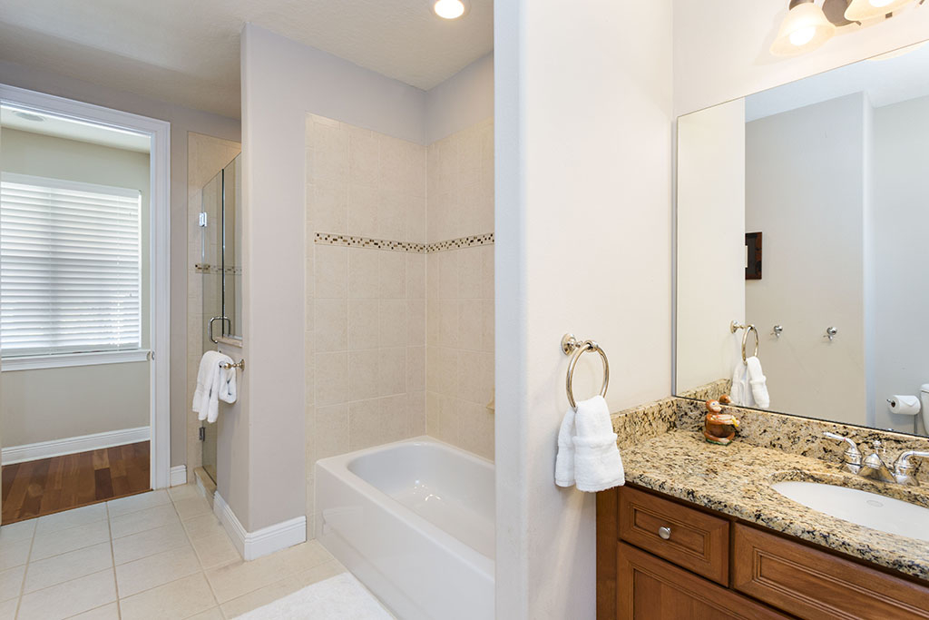 Orlando Home 974093