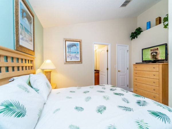 Orlando Home 974094