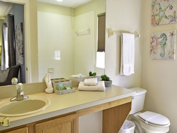 Orlando Home 974096