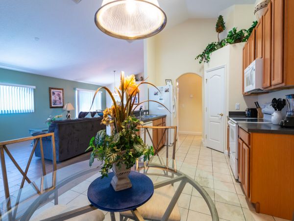 Orlando Home 974101
