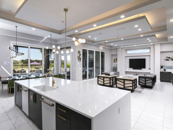 Orlando Home 974109