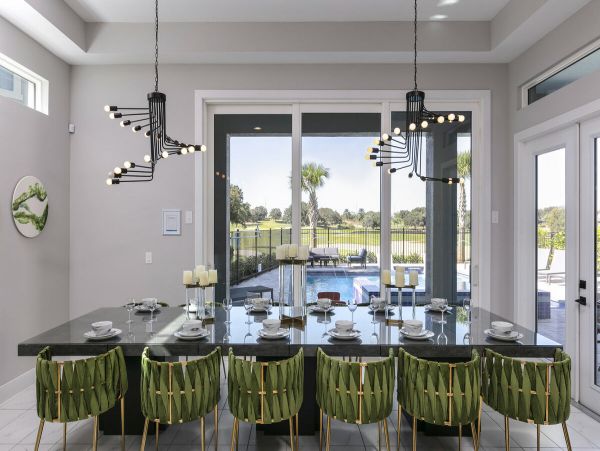 Orlando Home 974109