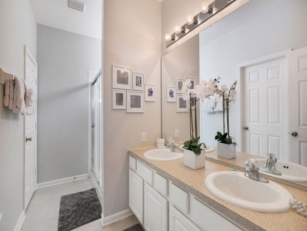 Orlando Home 974116