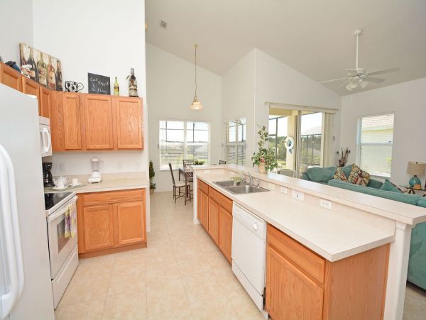 Orlando Home 974119