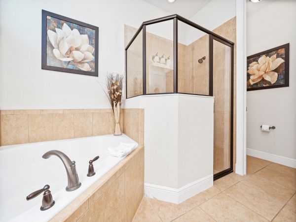 Orlando Home 974154