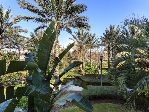 Orlando Condo 974170