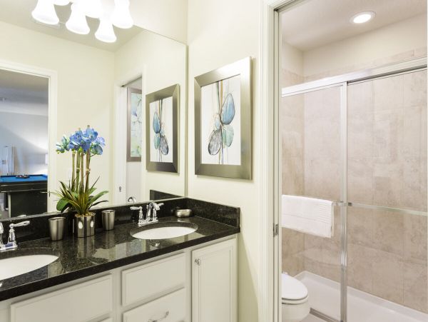 Orlando Home 974177