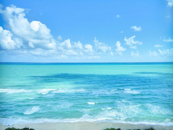 Miami Beach Condo 974178