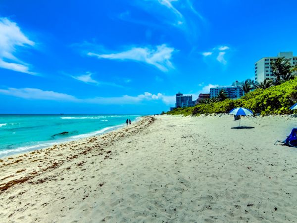 Miami Beach Condo 974185