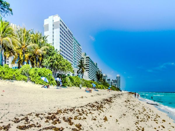 Miami Beach Condo 974189