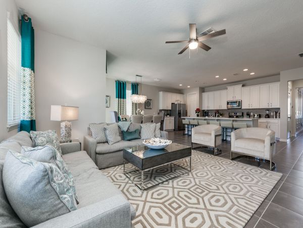 Orlando Home 974204
