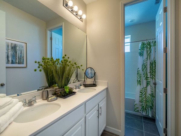 Orlando Home 974204
