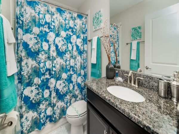 Orlando Home 974225