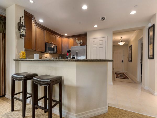 Orlando Condo 974228