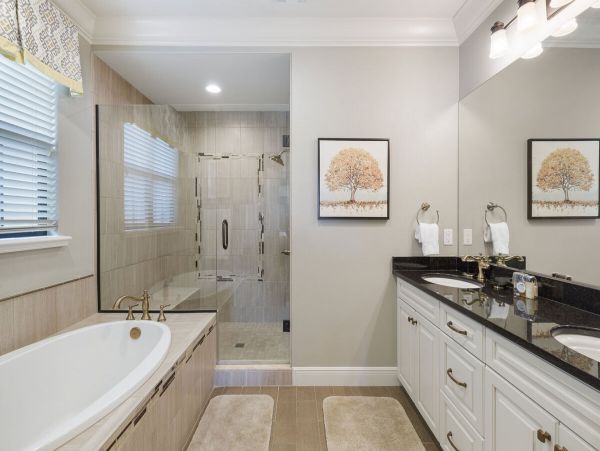 Orlando Home 974240
