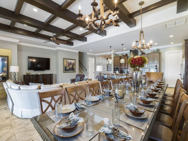 Orlando Home 974240