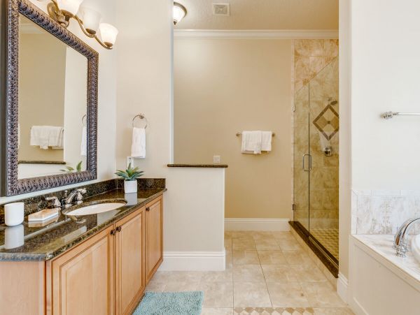 Orlando Home 974243