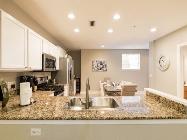 Orlando Home 974244