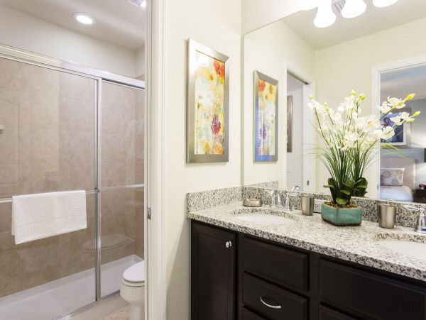 Orlando Home 974246
